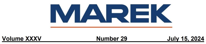 TBT Workplace Distractions July 15 2024